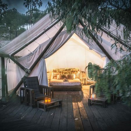فندق Quinta Alma - Ecological Retreat Farm ألخيزور الغرفة الصورة