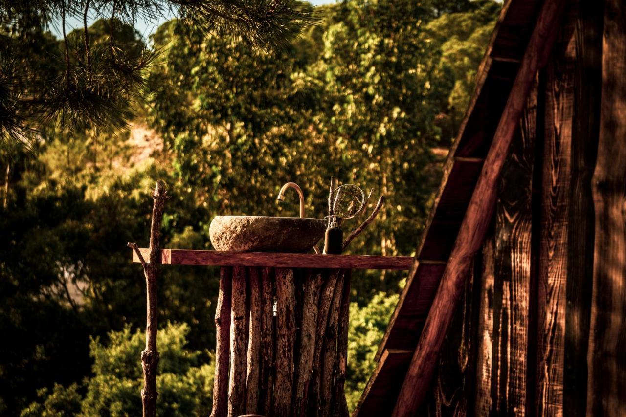 فندق Quinta Alma - Ecological Retreat Farm ألخيزور المظهر الخارجي الصورة