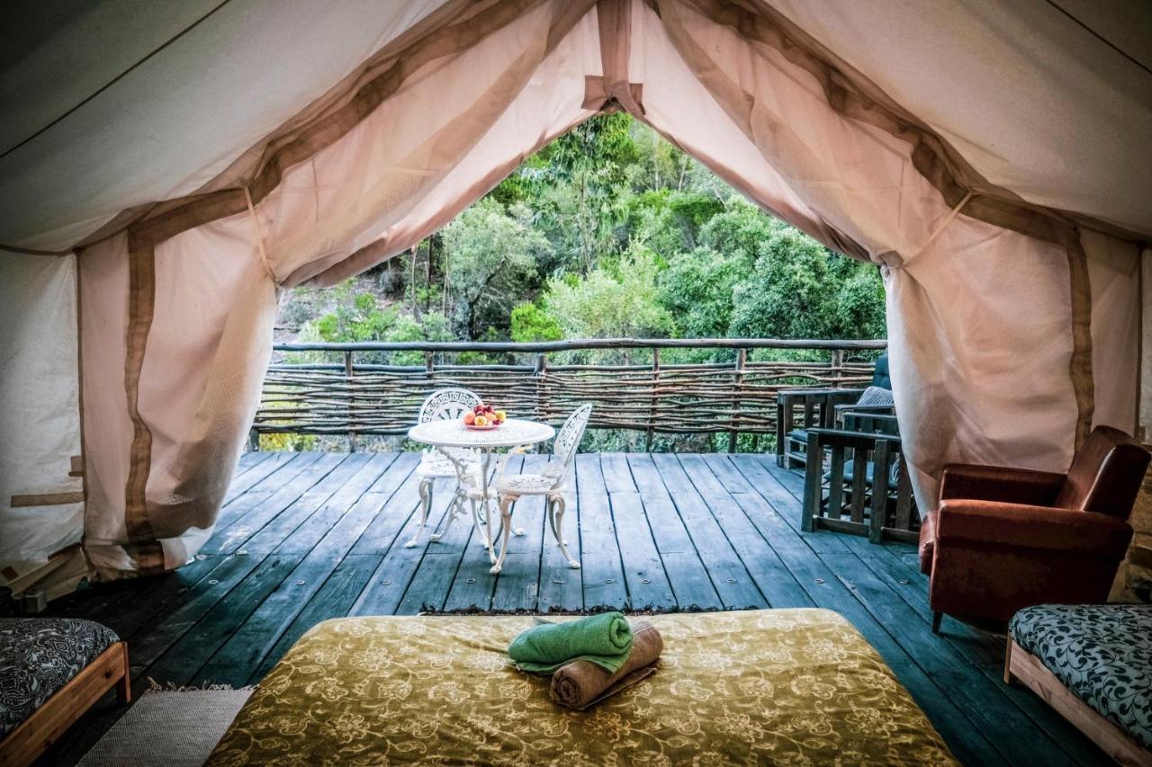 فندق Quinta Alma - Ecological Retreat Farm ألخيزور المظهر الخارجي الصورة