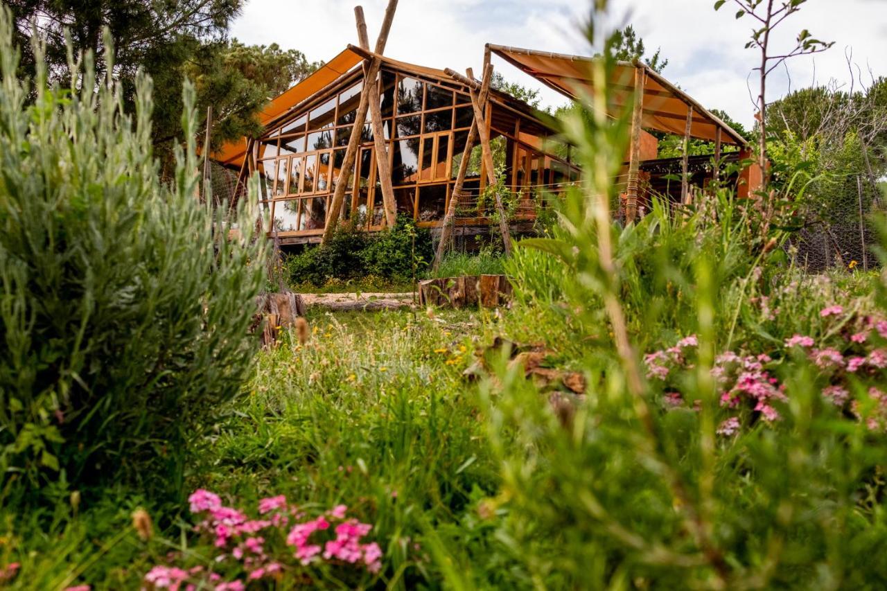 فندق Quinta Alma - Ecological Retreat Farm ألخيزور المظهر الخارجي الصورة